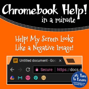 Chromebook Help - Screen Looks Like a Negative Image