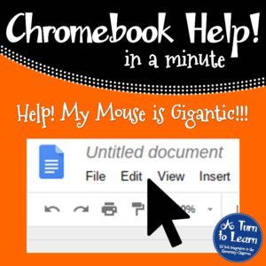 Chromebook Help - Fix a Gigantic Mouse