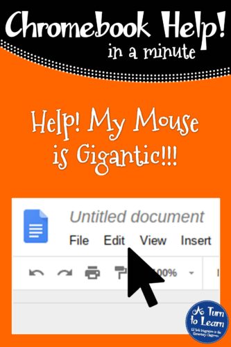 Chromebook Help - Fix a Gigantic Mouse